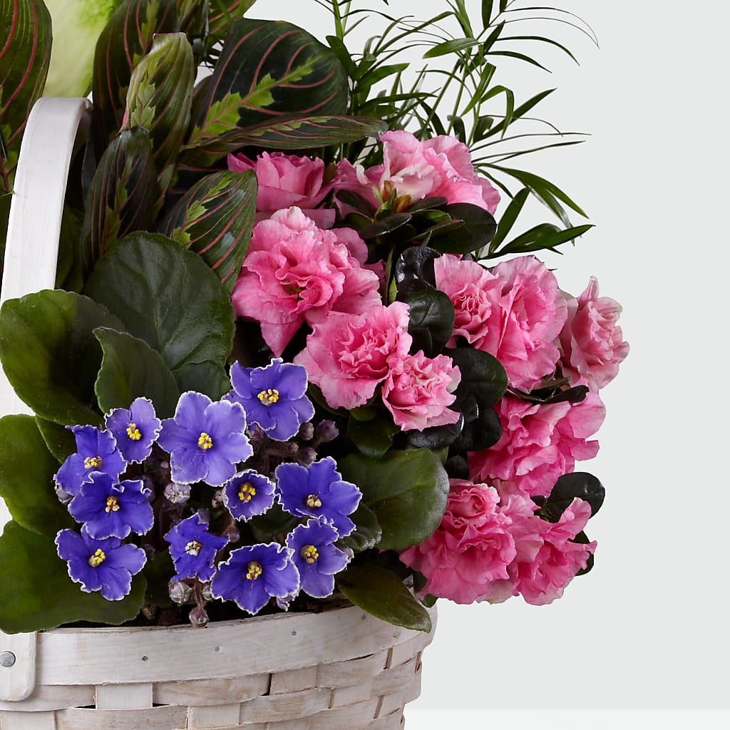 Peaceful Garden Planter –  212 Floral, New York NY