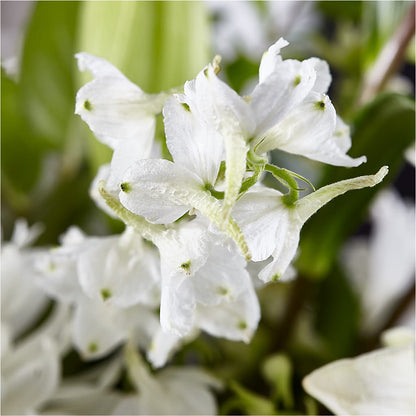 Classic Ivory – A Florist Original –  212 Floral, New York NY