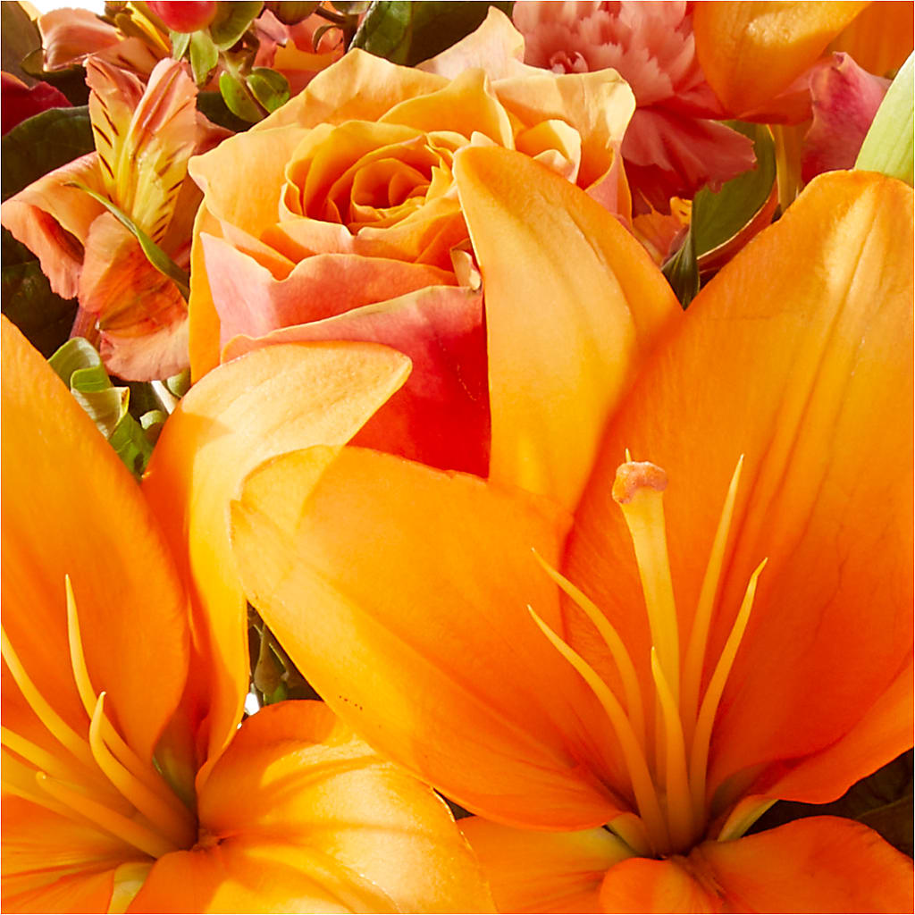 Afternoon Light Bouquet –  212 Floral, New York NY
