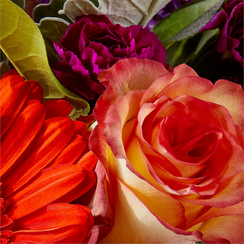 Sangria Bouquet –  212 Floral, New York NY