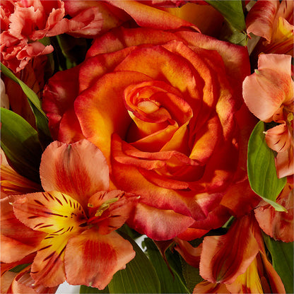 Apricot Glow Bouquet –  212 Floral, New York NY
