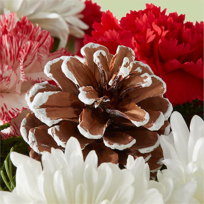 Candy Cane Lane Bouquet –  212 Floral, New York NY
