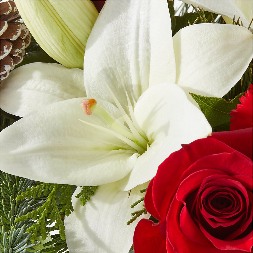 Oh So Jolly Bouquet –  212 Floral, New York NY