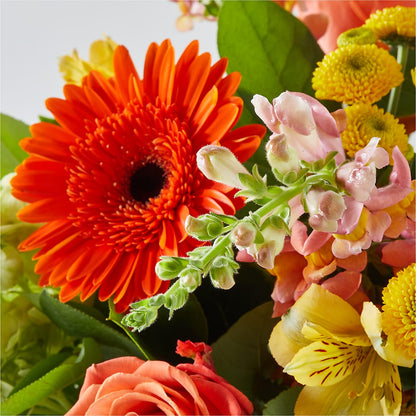 Autumn Sunshine Bouquet –  212 Floral, New York NY