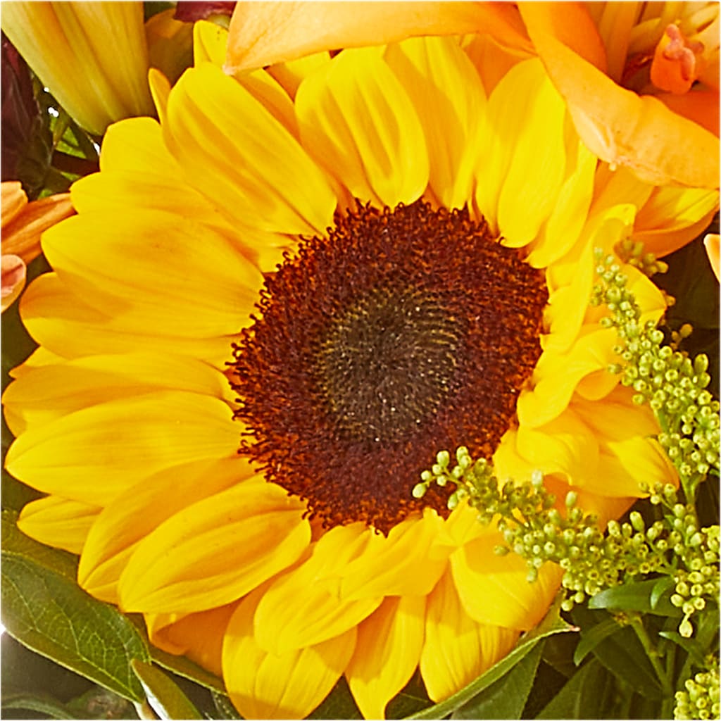 Seasons Change Bouquet –  212 Floral, New York NY