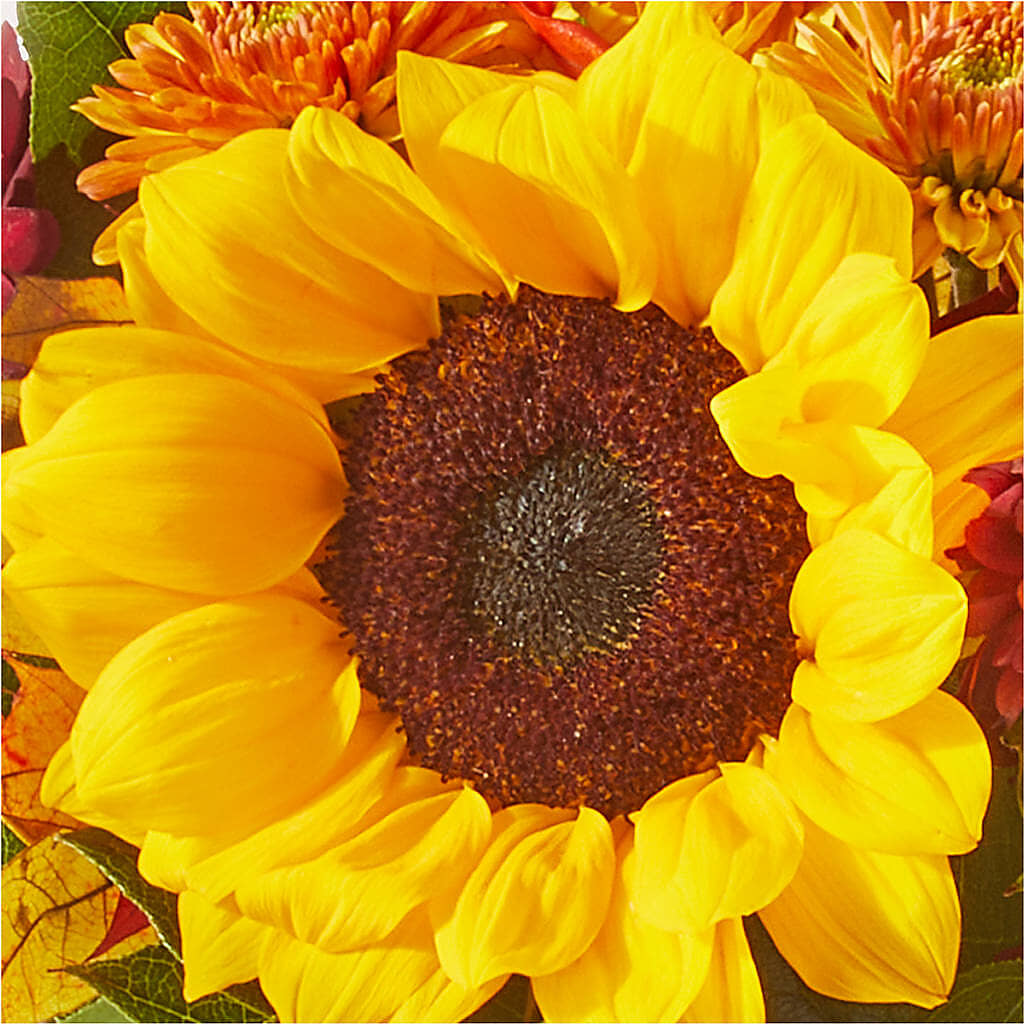 Sunny Side Bouquet –  212 Floral, New York NY