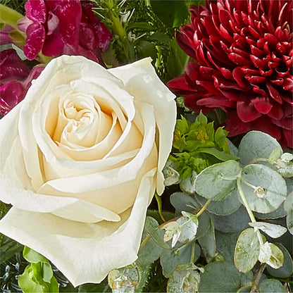 Cranberry Fizz Bouquet –  212 Floral, New York NY