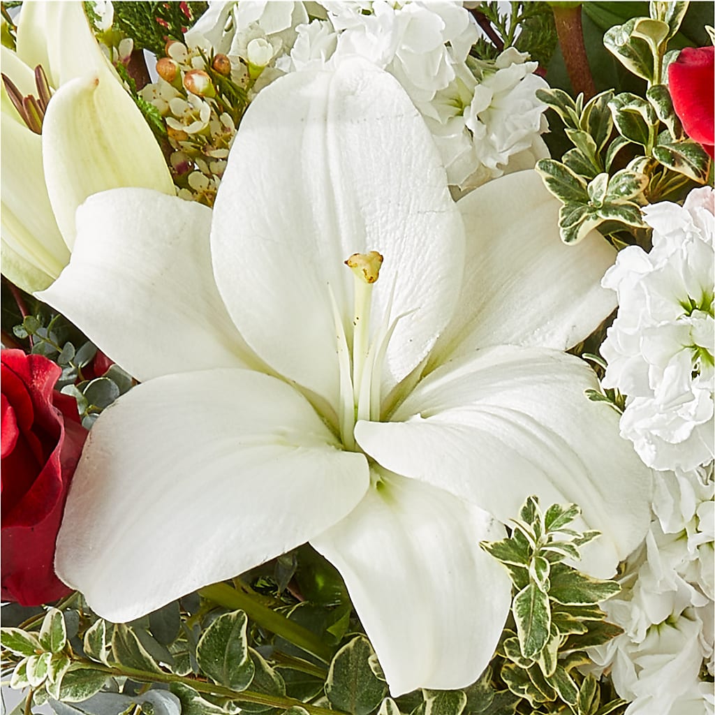 Twinkle Lights Bouquet –  212 Floral, New York NY