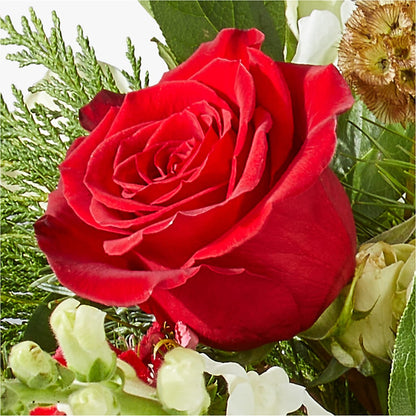 Deck the Halls Bouquet –  212 Floral, New York NY
