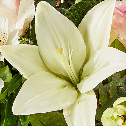 Ballet Slippers Bouquet –  212 Floral, New York NY