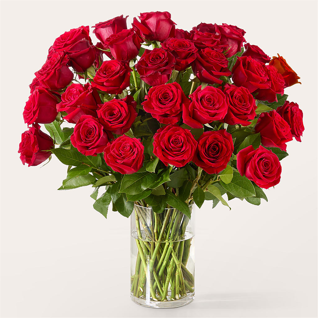 The One Red Rose Bouquet –  212 Floral, New York NY