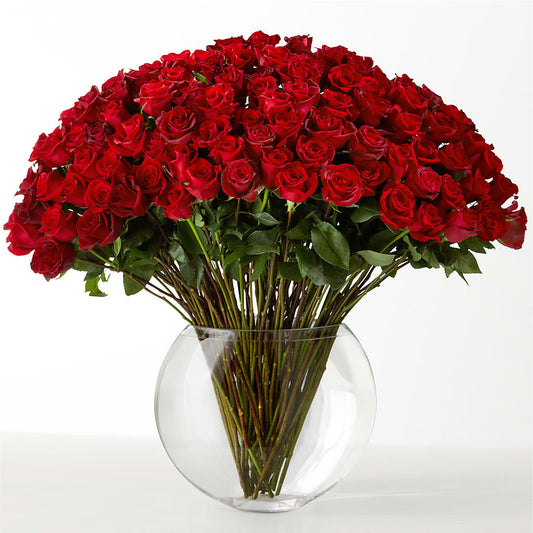 The Idealist –  212 Floral, New York NY
