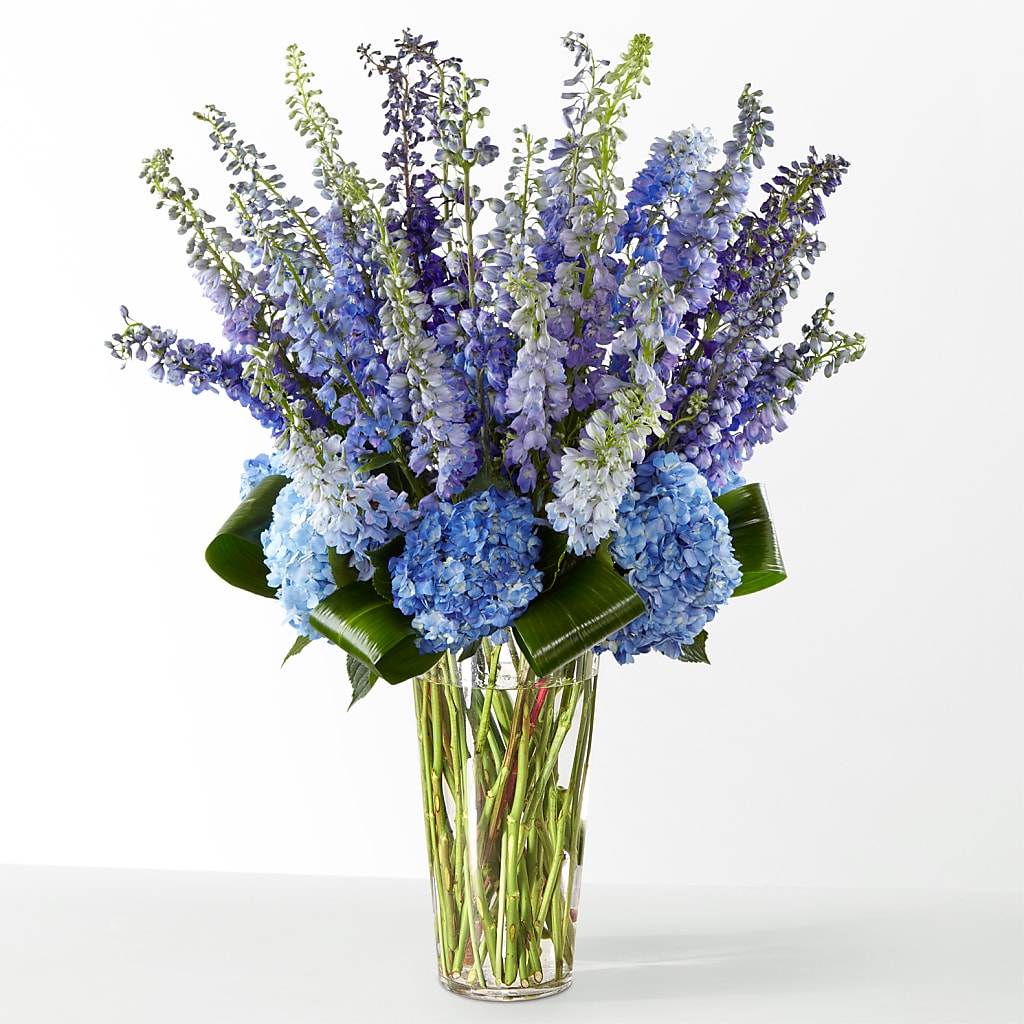 The Editorial –  212 Floral, New York NY