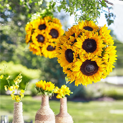 Sublime Garden Hanging Arrangement –  212 Floral, New York NY