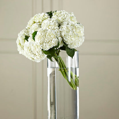 White Hydrangea Hand-Tied Bouquet –  212 Floral, New York NY
