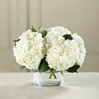 White Hydrangea Bouquet –  212 Floral, New York NY