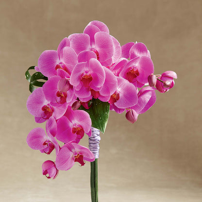 Glorious Bouquet –  212 Floral, New York NY