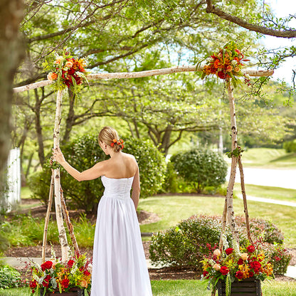 Arbor of Love Archway –  212 Floral, New York NY